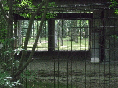 2010_09080010.JPG
