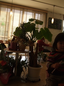 DSCF3287.JPG