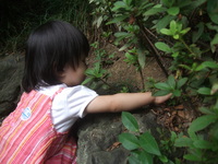 DSCF3334.JPG